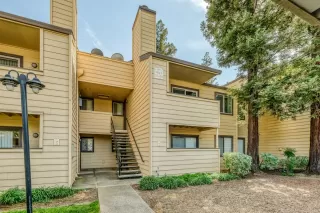 Photo #1: 20024350 Listing