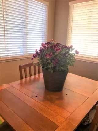 Photo #5: 20027482 Listing