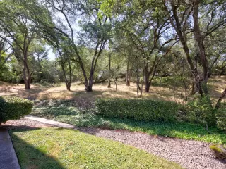 Photo #6: 20028001 Listing