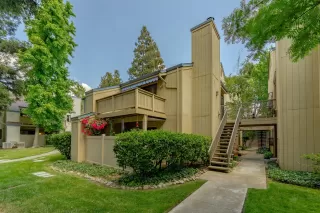 Photo #1: 20028838 Listing 