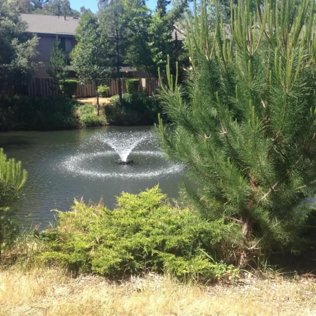 MLS: 20029398 Condo For Sale