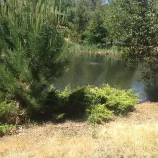 Photo #3: 20029398 Listing