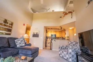 Photo #1: 20029492 Listing