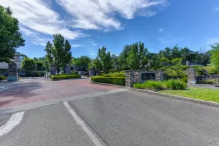 Photo #1: 20030205 Listing