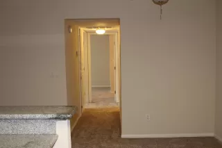 Photo #6: 20030231 Listing