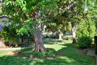 Photo #5: 20031549 Listing