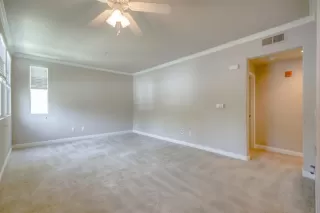 Photo #5: 20031582 Listing