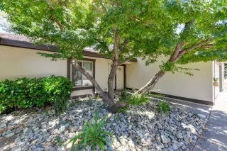 Photo #3: 20031843 Listing