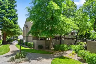 Photo #4: 20032310 Listing 