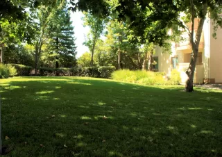 Photo #1: 20032559 Listing 