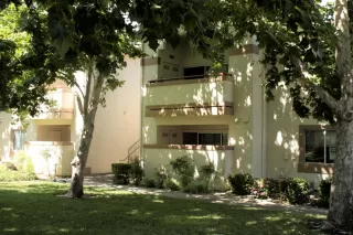 Photo #2: 20032559 Listing 