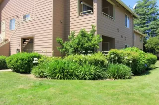 Photo #1: 20032969 Listing