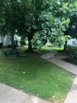 Photo #1: 20033306 Listing 