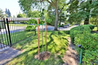 Photo #3: 20033874 Listing 