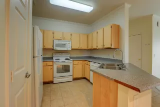 Photo #5: 20034136 Listing