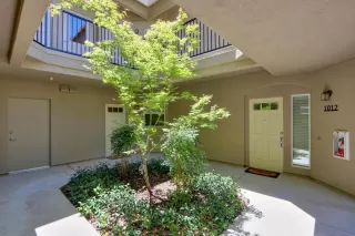 Photo #5: 20034777 Listing