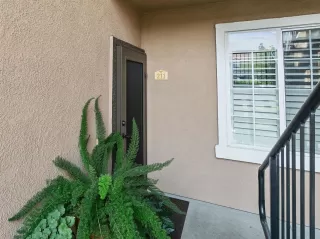 Photo #1: 20035216 Listing