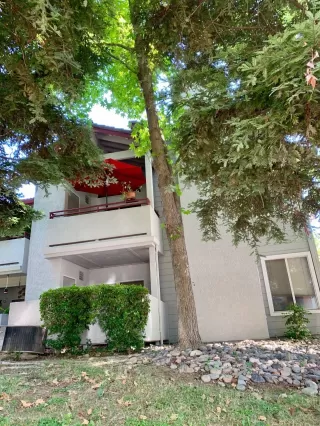 Photo #1: 20035965 Listing