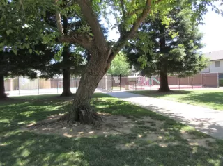 Photo #3: 20036302 Listing 