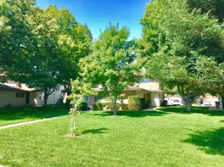 Photo #4: 20037409 Listing 
