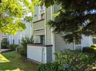 Photo #1: 20037459 Listing 