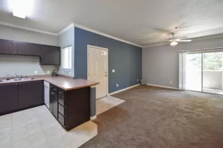Photo #1: 20037968 Listing 