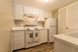 Photo #5: 20038546 Listing 