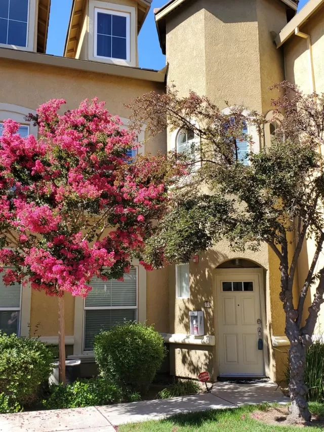 MLS: 20038650 Condo For Sale