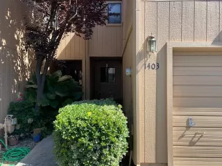 Photo #1: 20038854 Listing 