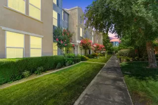Photo #1: 20039535 Listing 