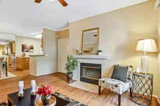 Photo #5: 20041670 Listing 