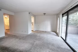 Photo #1: 20042821 Listing 