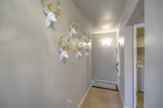 Photo #4: 20043153 Listing