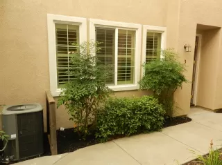 Photo #3: 20044412 Listing