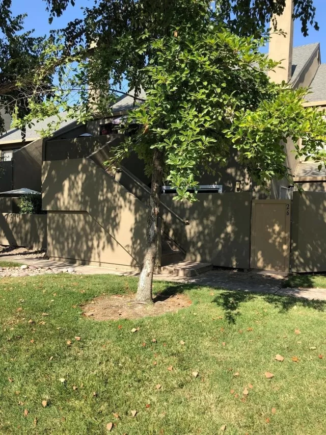 MLS: 20045053 Condo For Sale