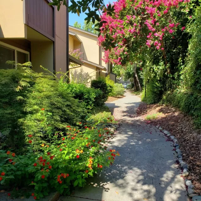 MLS: 20046518 Condo For Sale