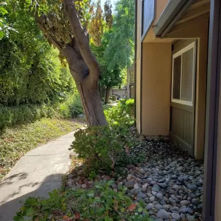 Photo #3: 20046518 Listing 