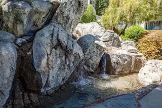 Photo #1: 20046543 Listing 