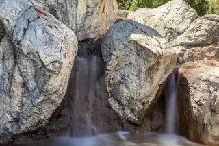 Photo #2: 20046543 Listing 