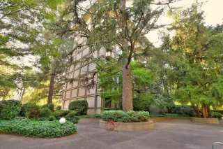 Photo #6: 20047159 Listing