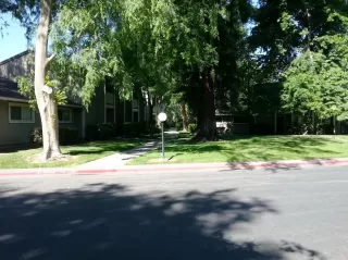 Photo #1: 20048090 Listing