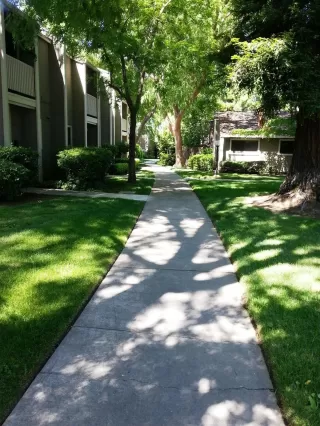 Photo #2: 20048090 Listing