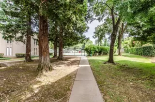 Photo #3: 20049723 Listing 