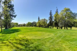 Photo #3: 20049774 Listing 