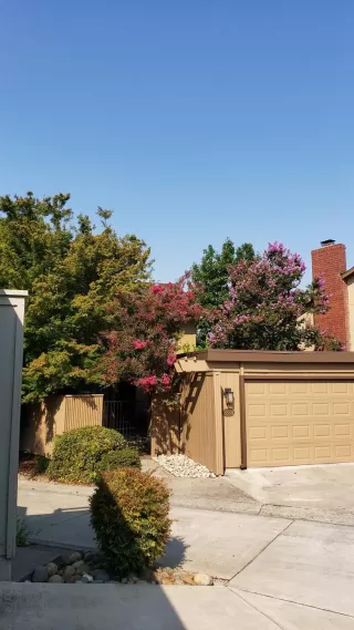 Photo #1: 20051493 Listing