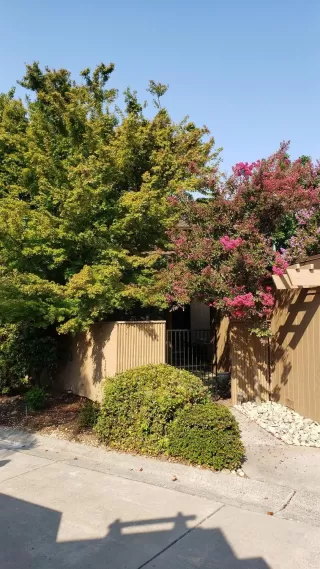 Photo #2: 20051493 Listing