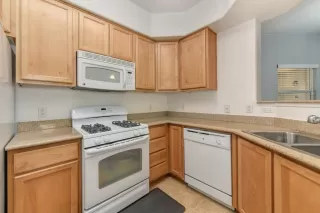 Photo #1: 20053455 Listing 