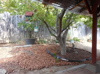 Photo #5: 20053470 Listing