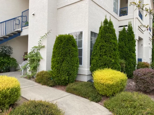 MLS: 20053807 Condo For Sale