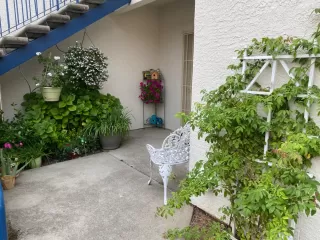 Photo #1: 20053807 Listing 